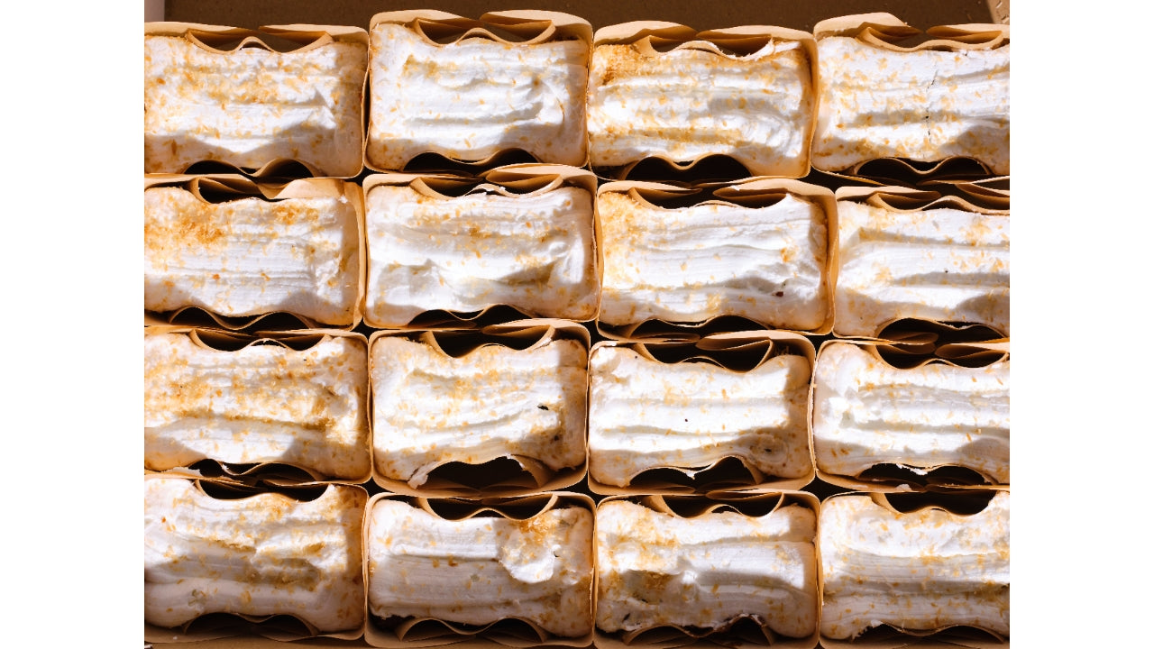 Gulerodskage med topping 20x95g