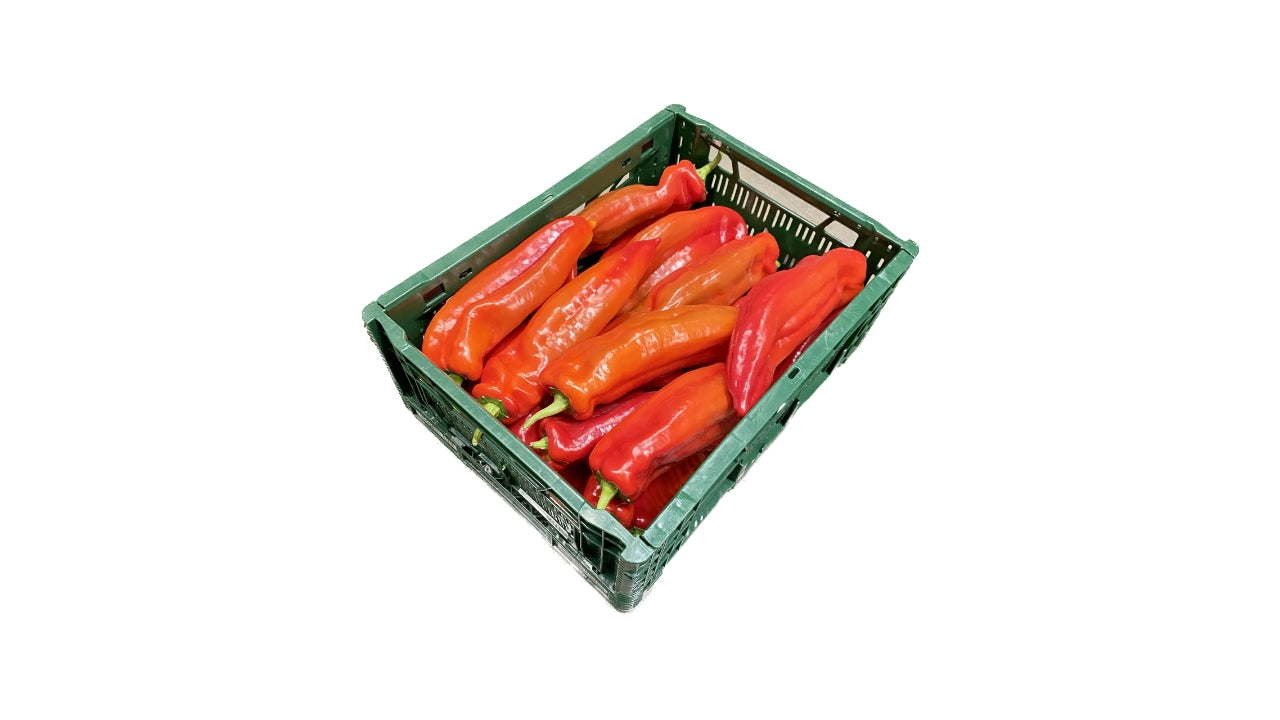Øko Palermopeberfrugter røde 3kg