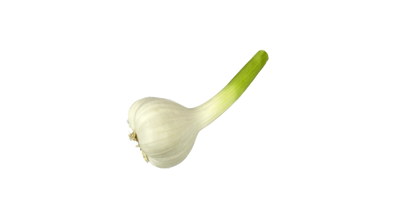 Øko Hvidløg friske m/top 3kg