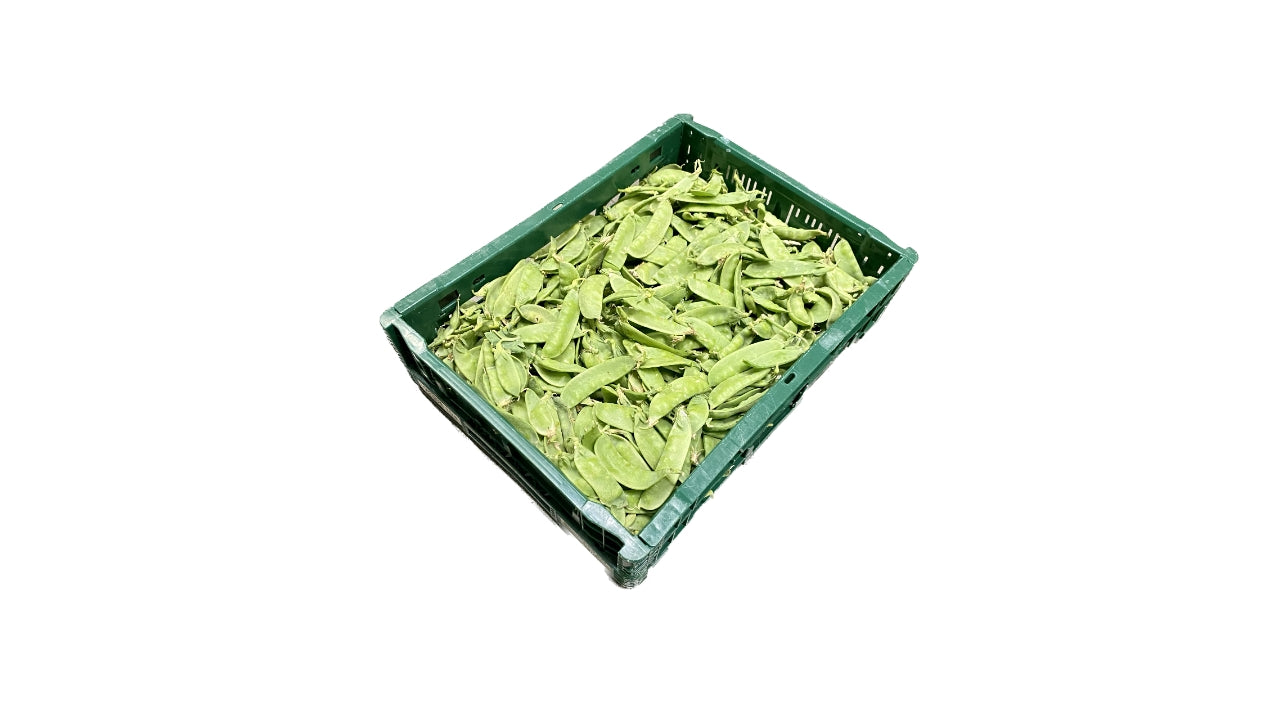 Øko Sukkerærter/Mangetout 2,5kg