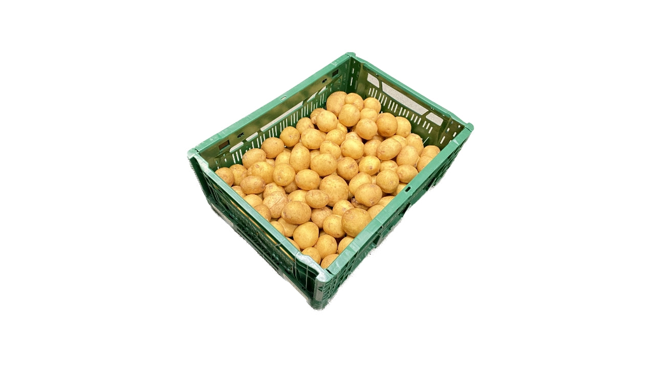 Øko Kartofler jævne 6kg DK