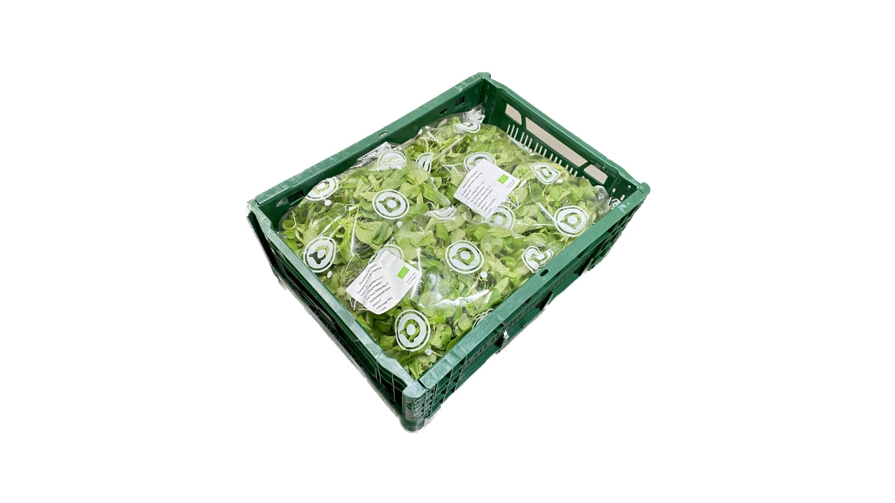 Øko Feldsalat 1kg