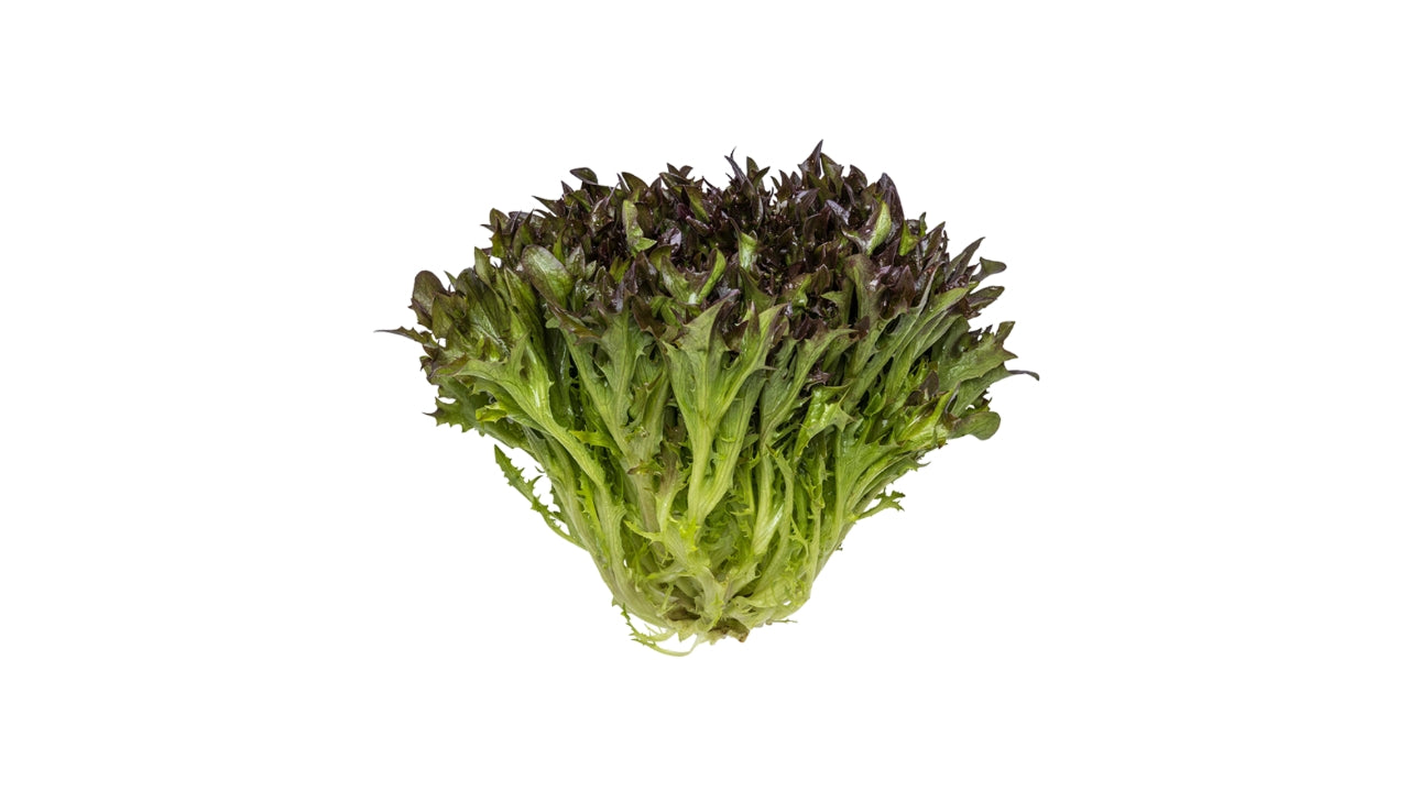 Øko Salat Crisp rød 8 stk DK