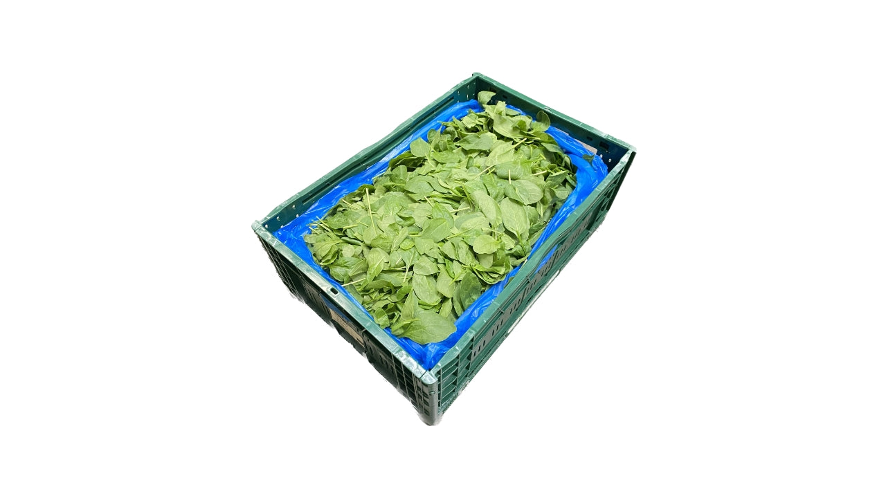 Øko Bladspinat 5kg