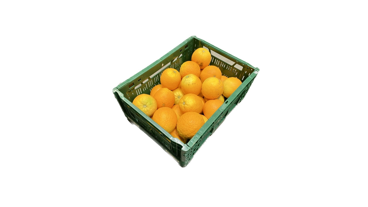 Øko Appelsiner 30-40stk 6kg