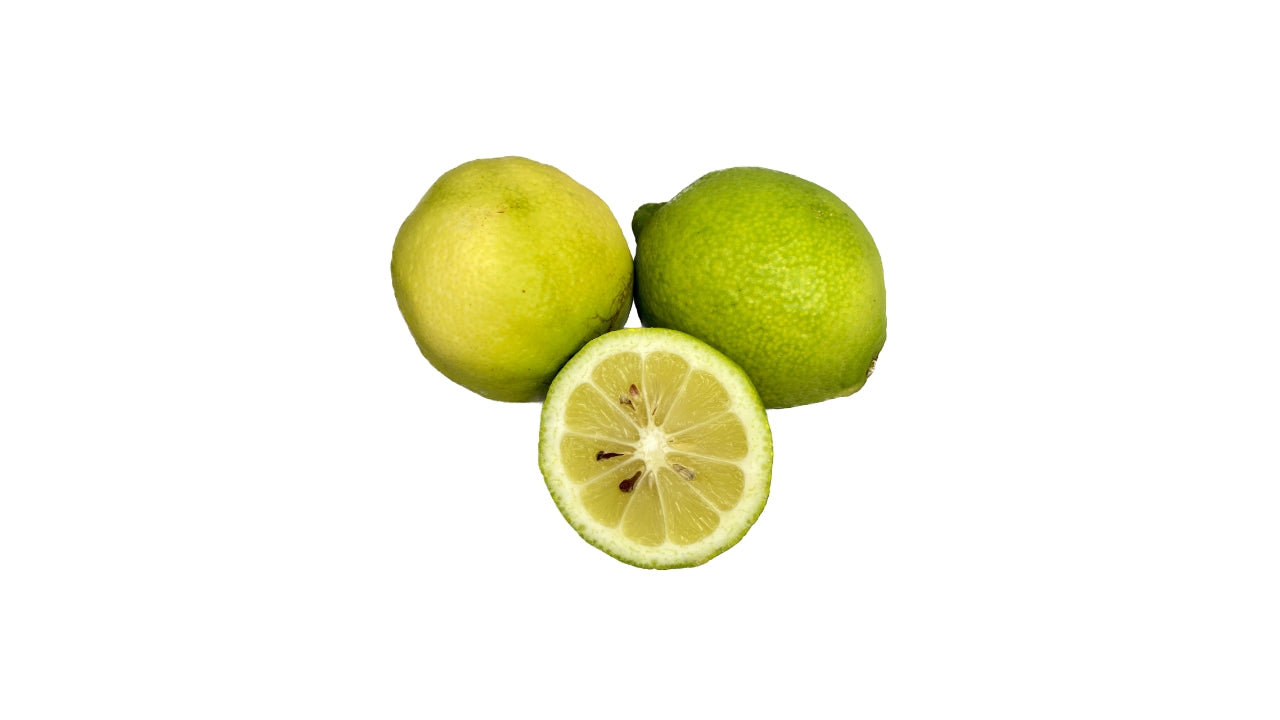 Øko Citron Verdello grøn (50)
