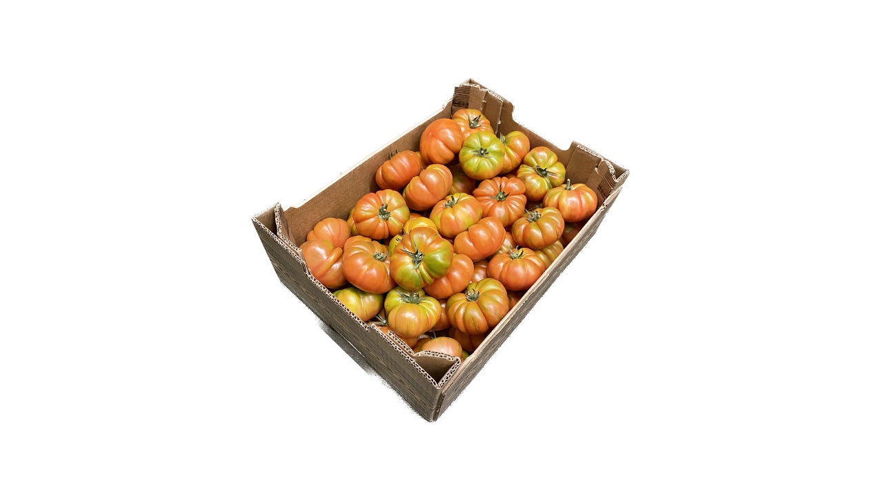 Øko Tomater RAF 6kg, ca. 30 stk