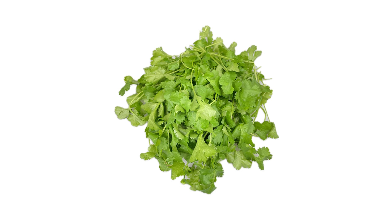 Øko Koriander 1kg