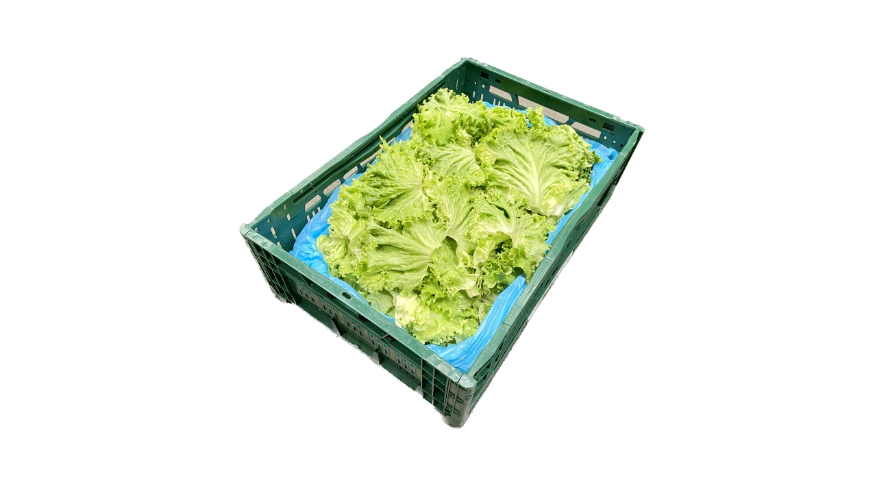Øko Symfonisalat 2kg