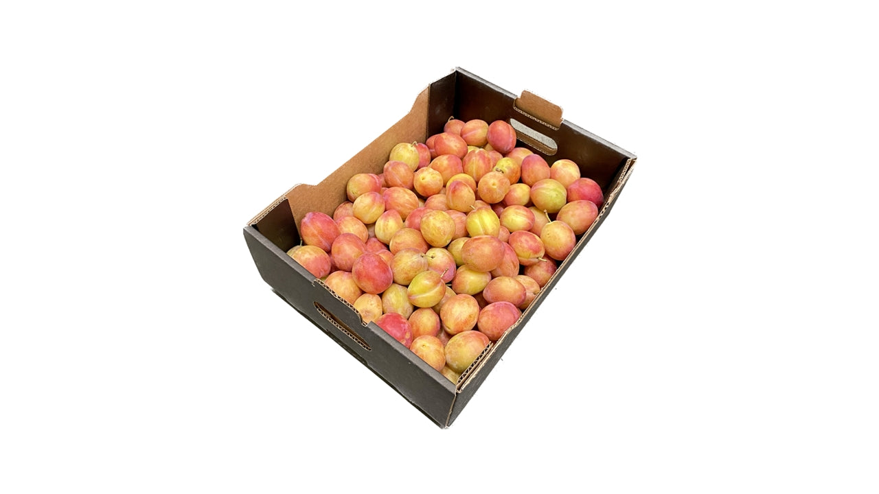 Blommer Ive 5kg