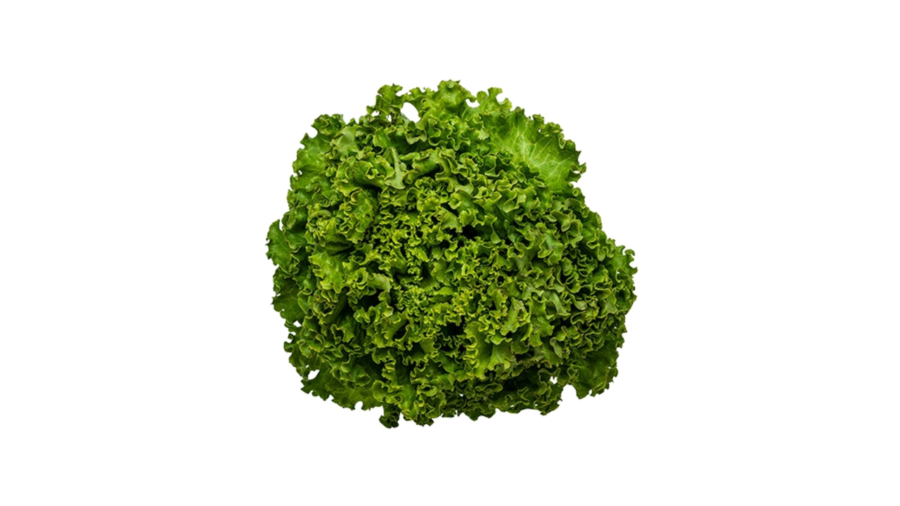 Øko Salat Batavia (8)