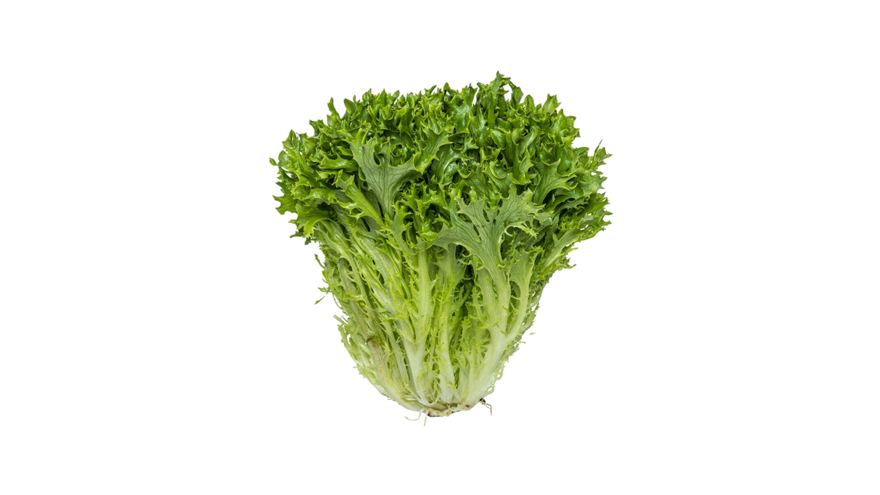 Øko Salat Crisp Grøn (8)