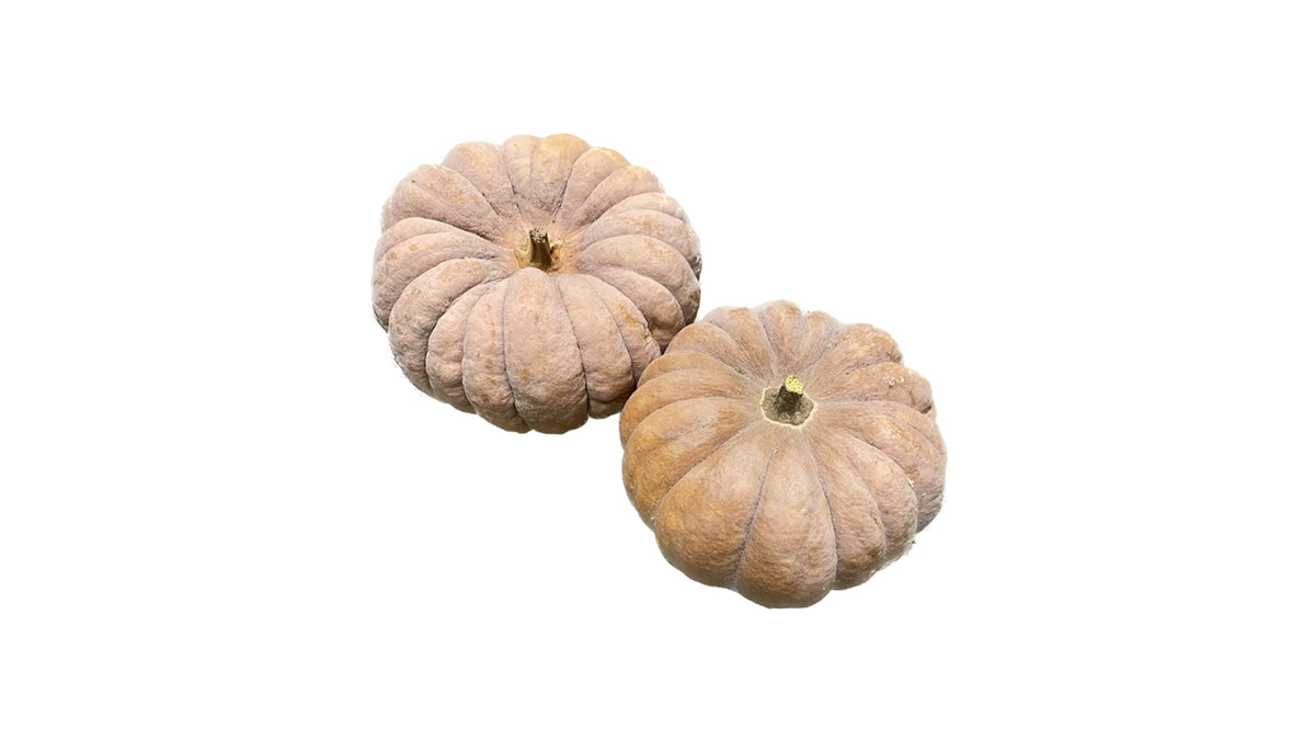 Øko Græskar Muscat ca 1,5kg (6)