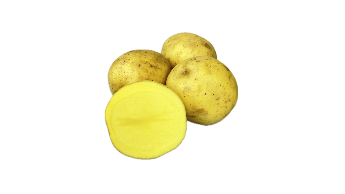 Øko Kartofler 40/60 mm 7kg