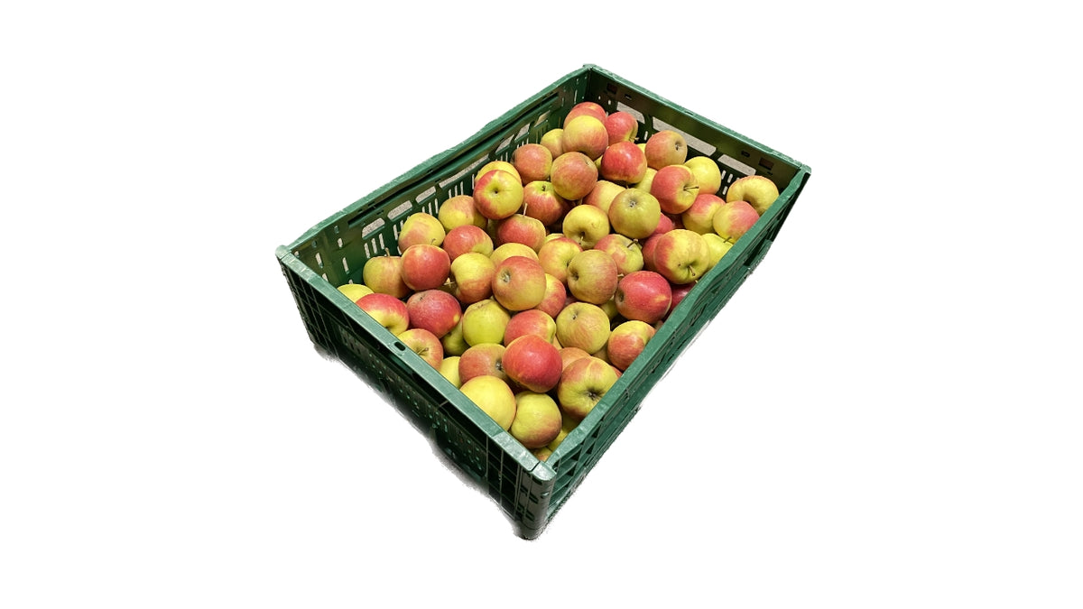 Æbler Elstar 13kg kl.2