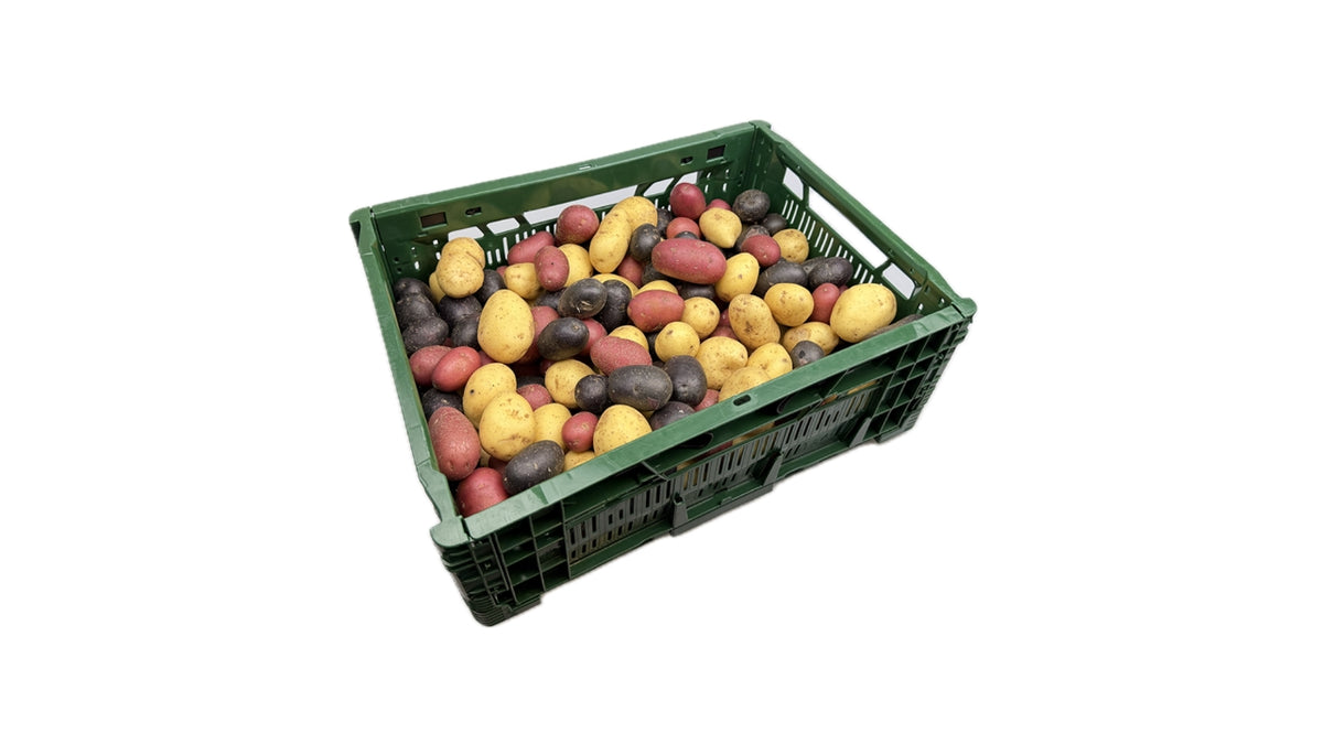 Øko Kartofler Trecolori 7 kg