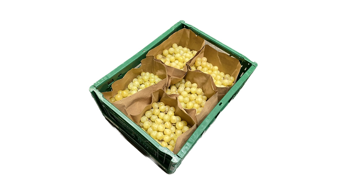 Øko Druer Hvid Kelly 4,5kg