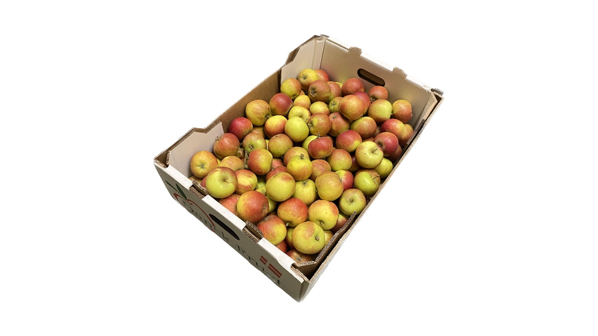 Æbler Cox Orange 60/70mm 12kg