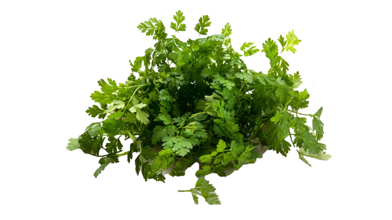 Kørvel 1 kg