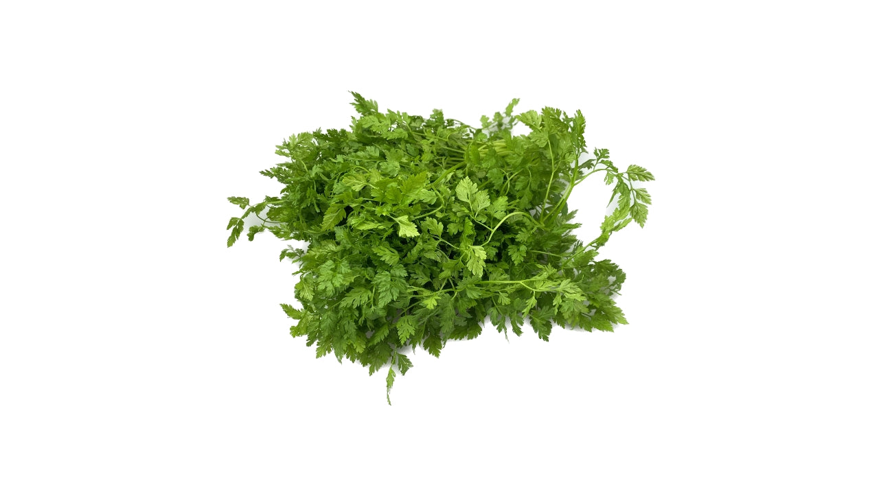 Spansk Kørvel 60g