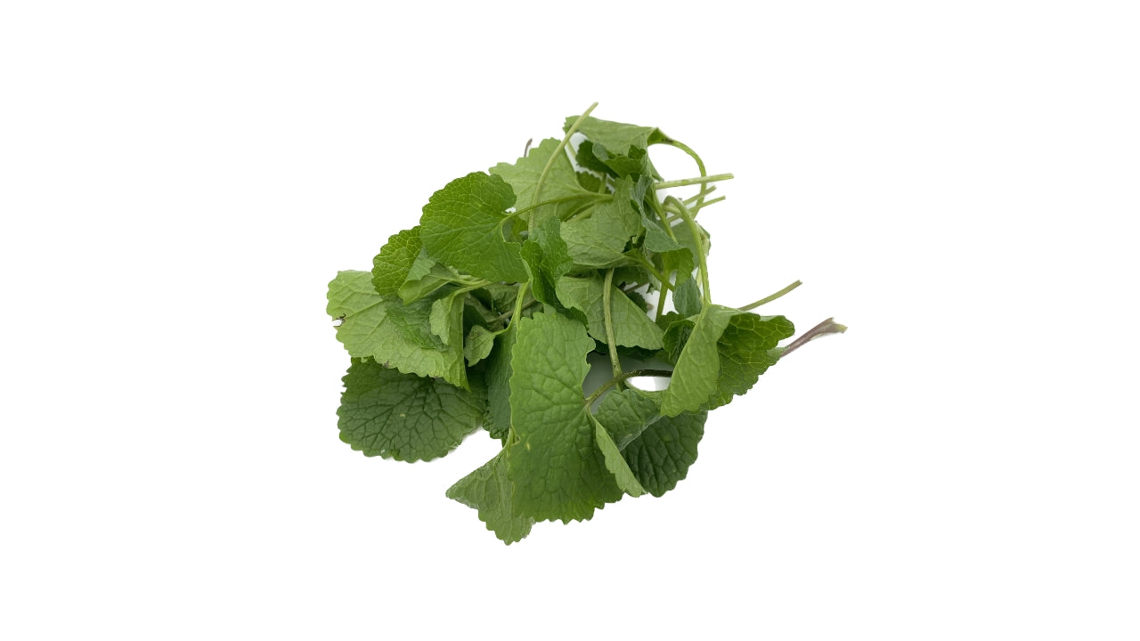 Løgkarse 30 g