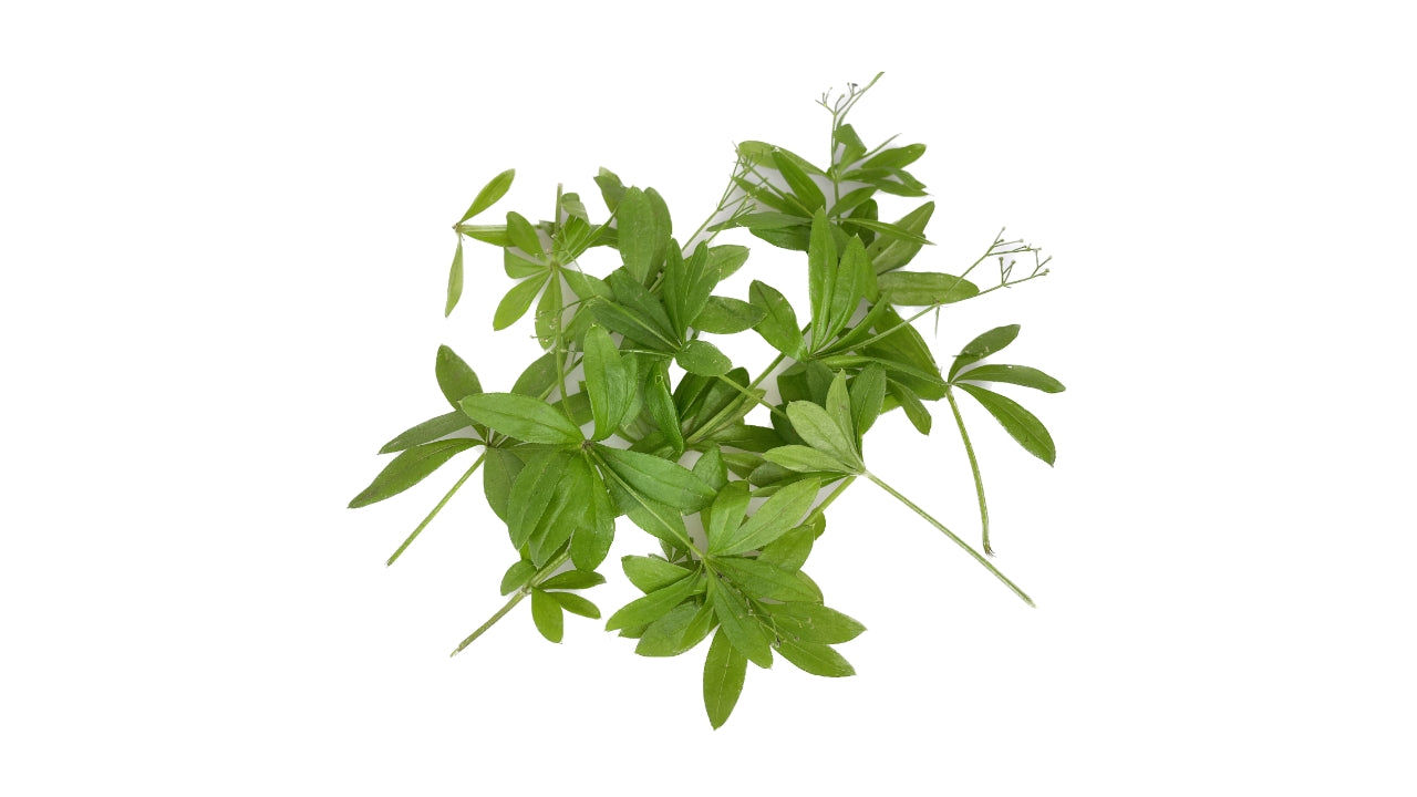 Skovmærke 30g