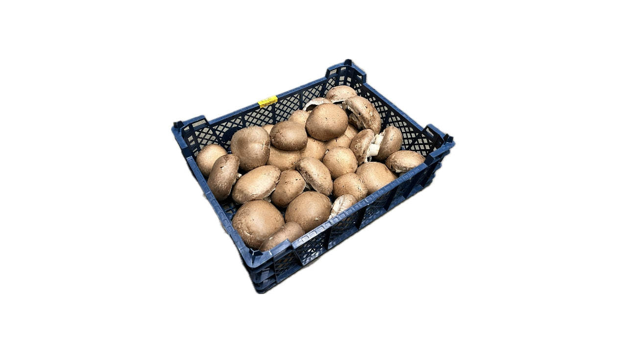 Svampe Portobello 1,5 kg