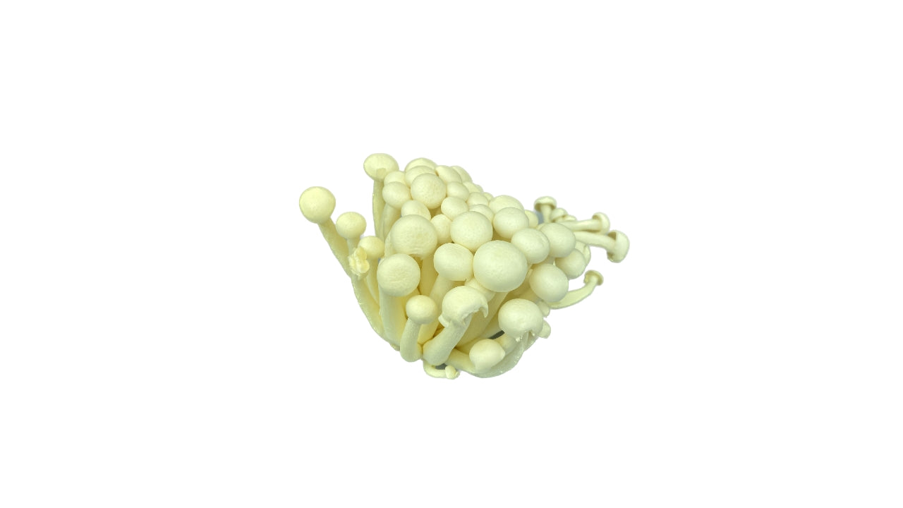 Svampe Bøgehatte hvide 150 g (20)