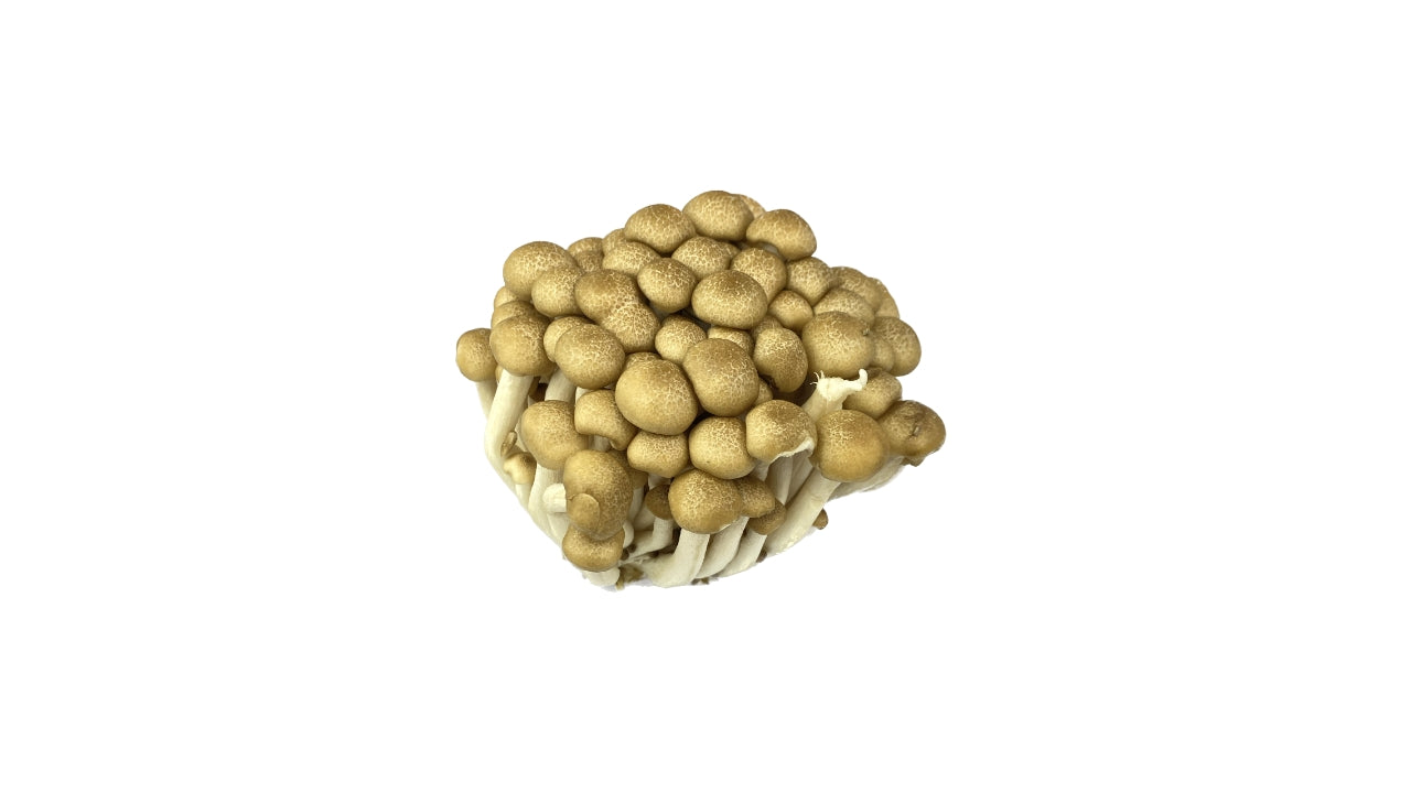 Svampe Bøgehatte brune 150 g (20)