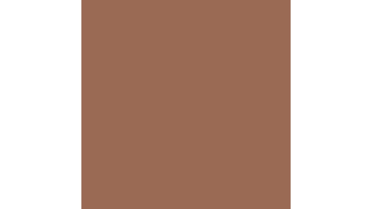 Serviet 40x40cm Earth Terra 12stk