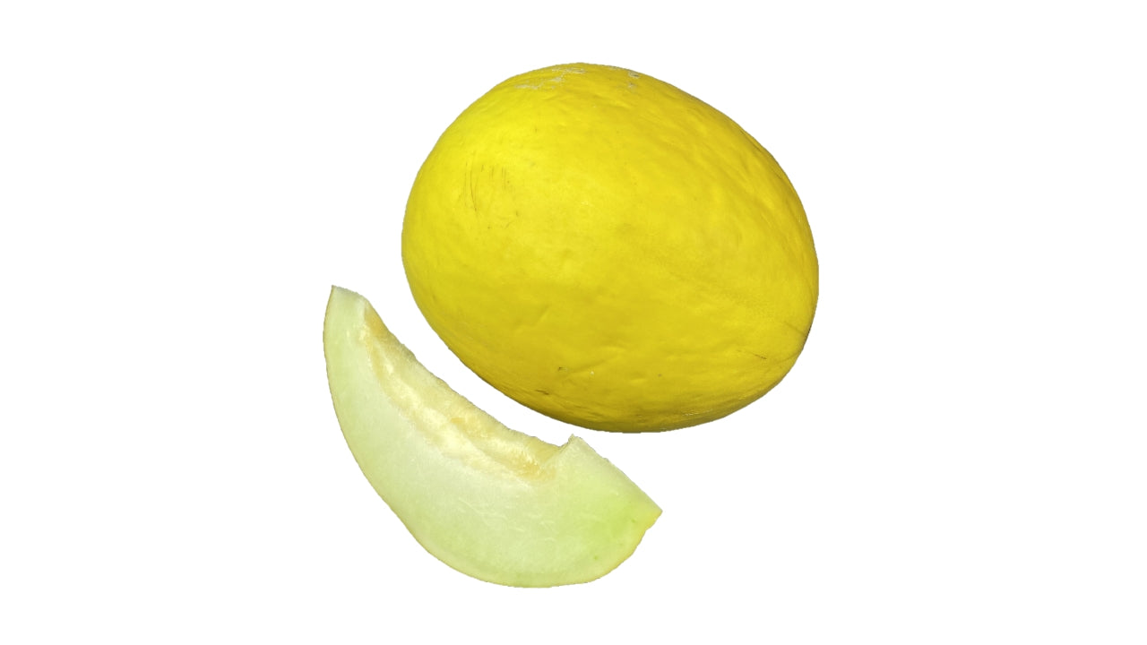 Melon Honning gul (9)
