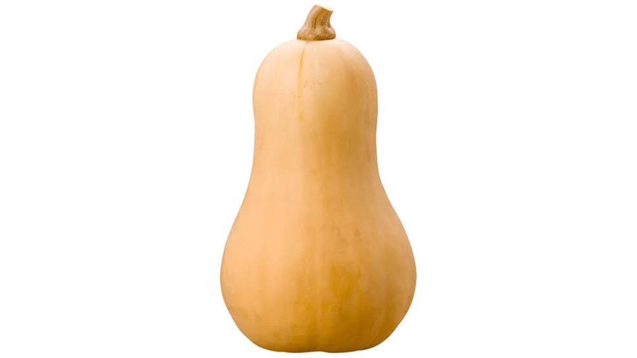 Øko Græskar Butternut (10)