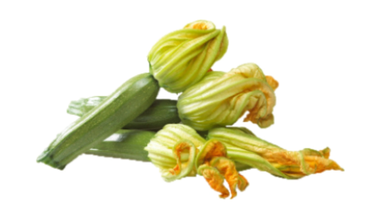 Courget Fleur blomst (15)