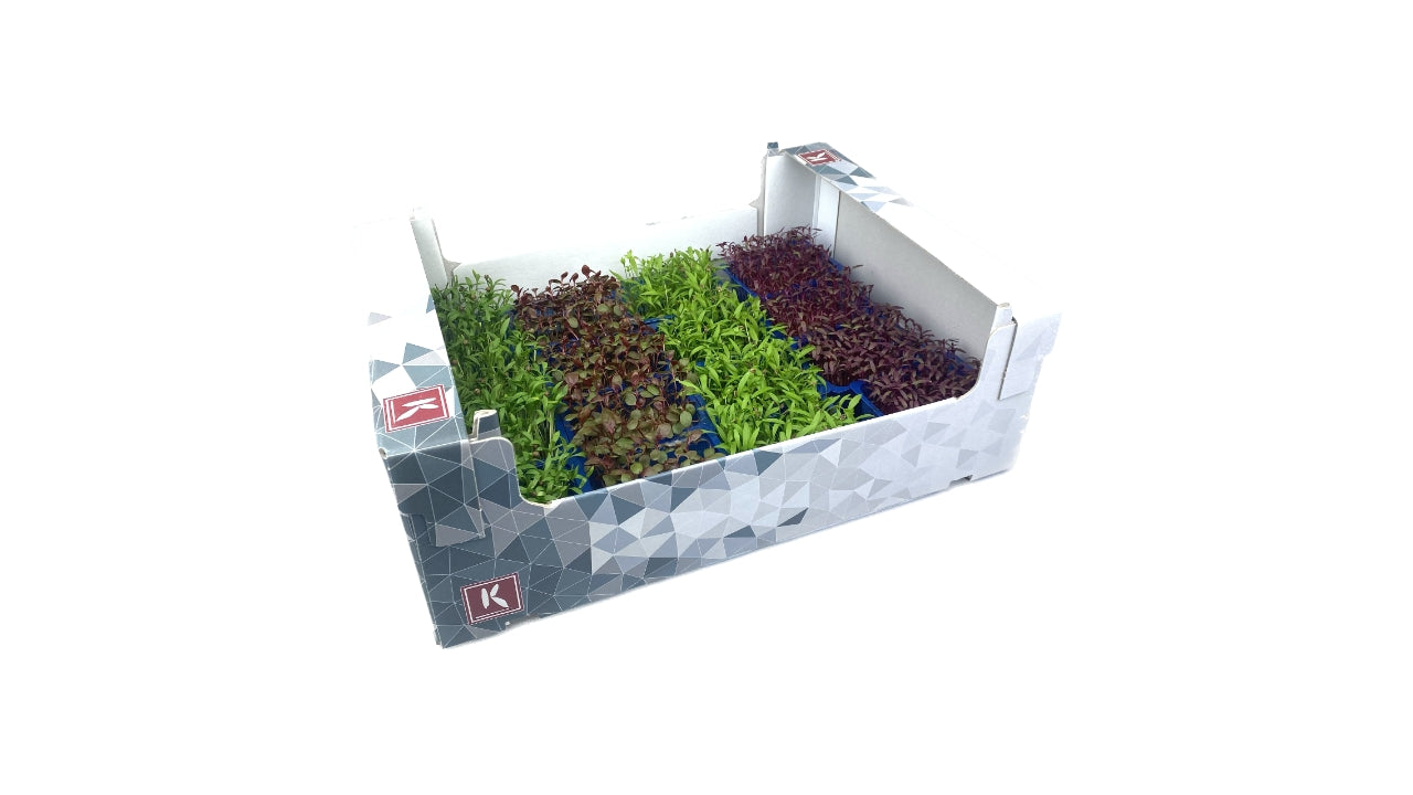 Karse Efterårsmix