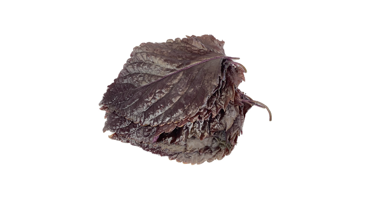 Shiso Blade purple 15 stk (12)