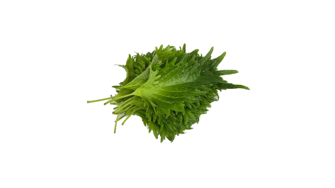 Shiso blade green 15 stk (12)