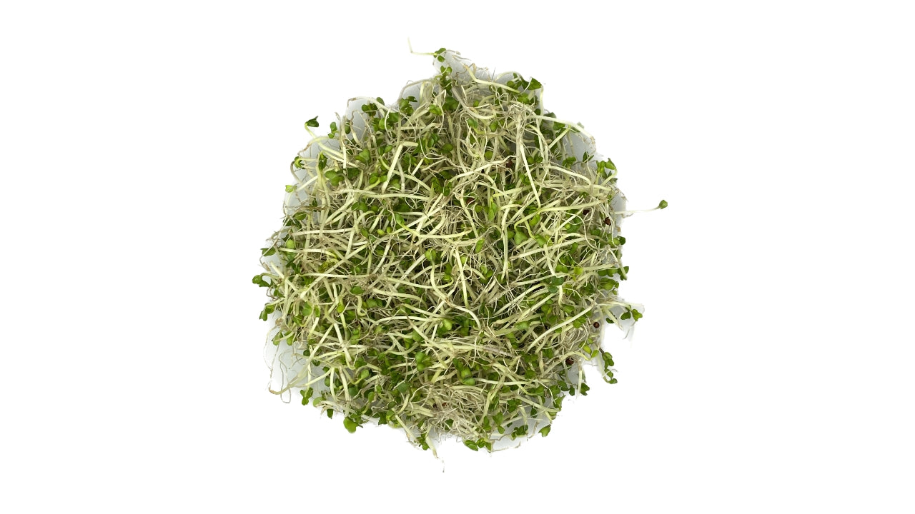 Spirer Broccoli 50 g (8)