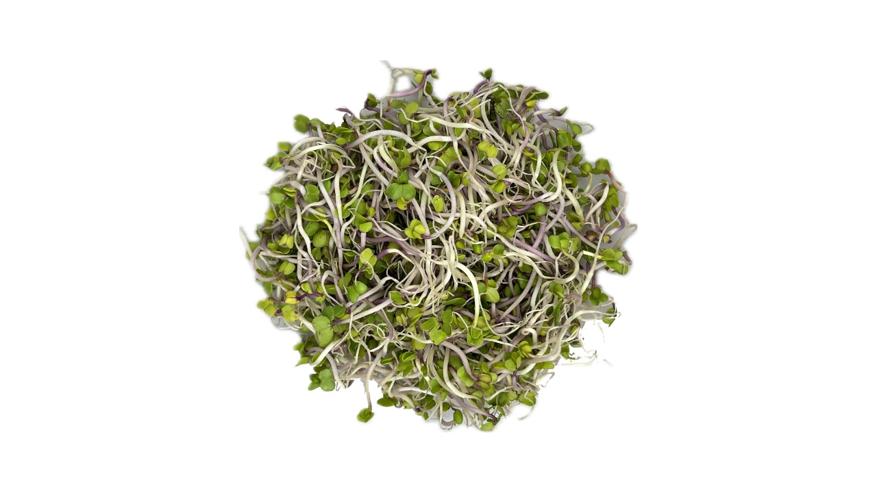 Spirer China Rose 100g (8)