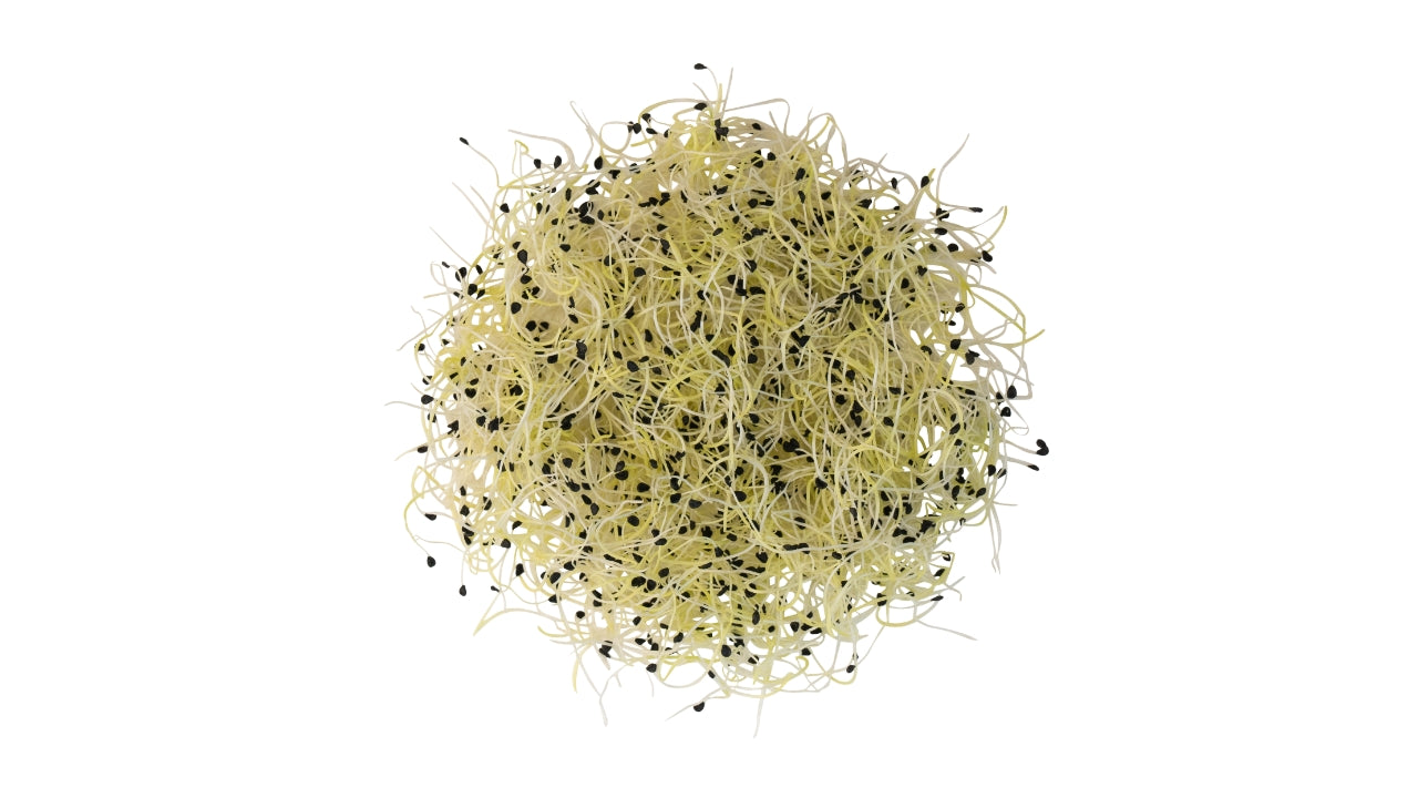 Spirer Hvidløg 50 g (8)