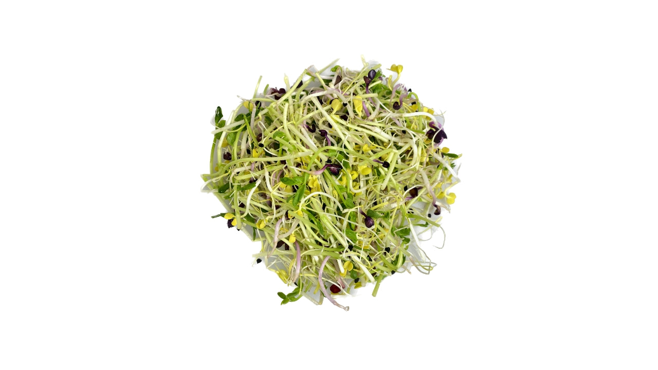 Spirer Spicy mix 100g (8)