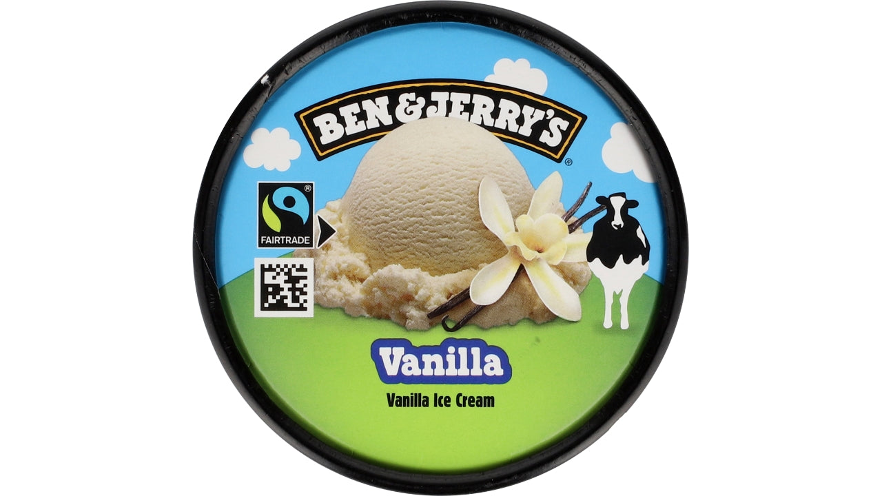 Vanilla 12x100ml