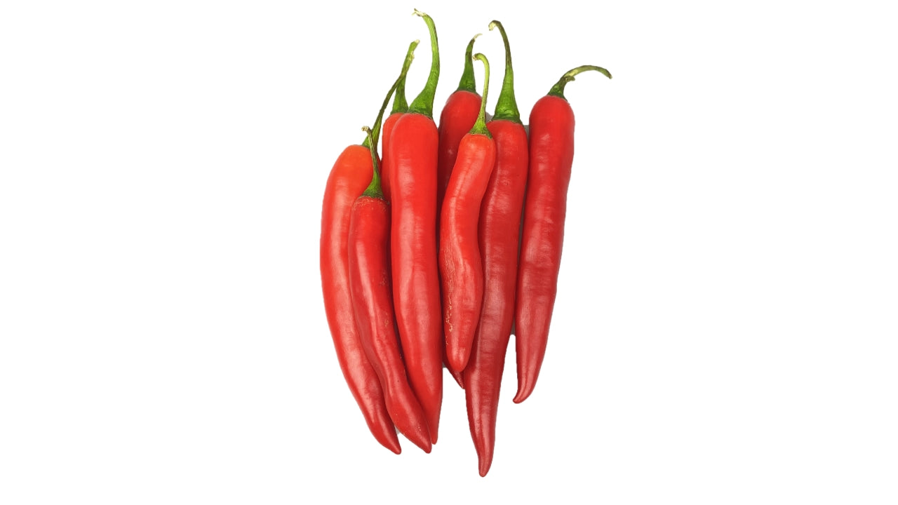 Chili rød 100g (10)