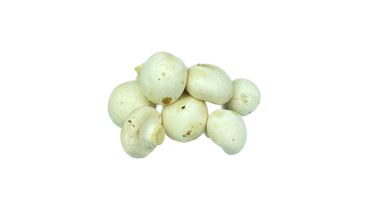 Svampe Champignon 400 g (10)