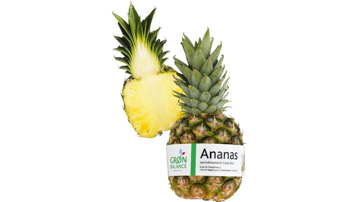 Øko Ananas mellem (9)