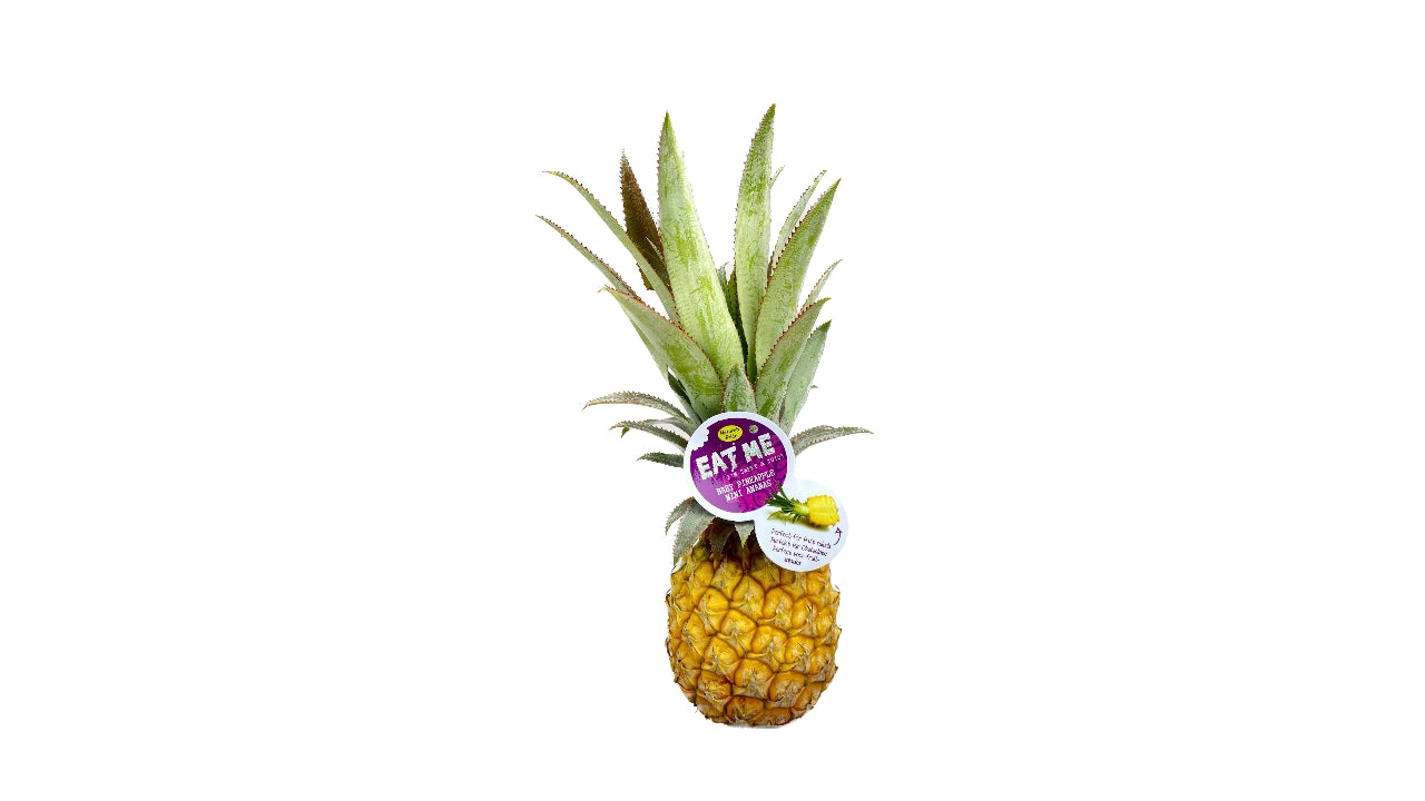Ananas mini 400g (10)