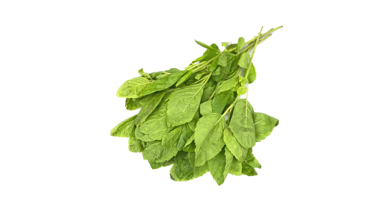 Hellig basilikum Holy basil 100g