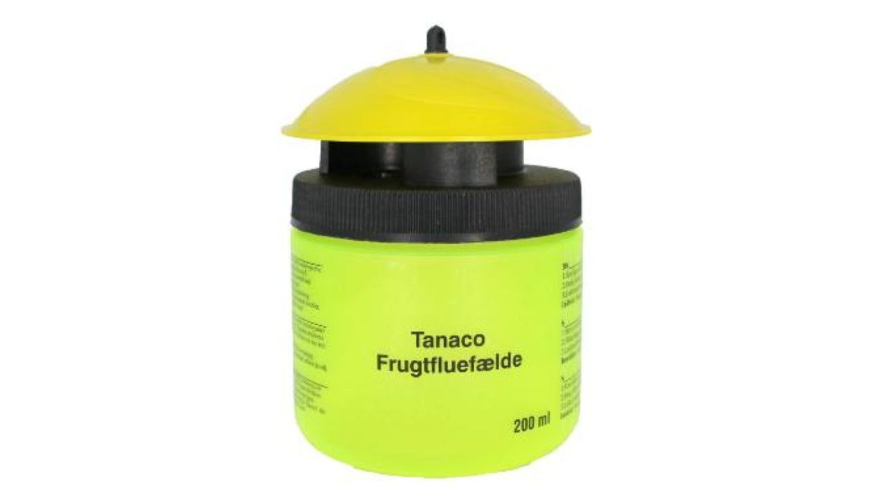 Frugtfluefælde TANACO Prof