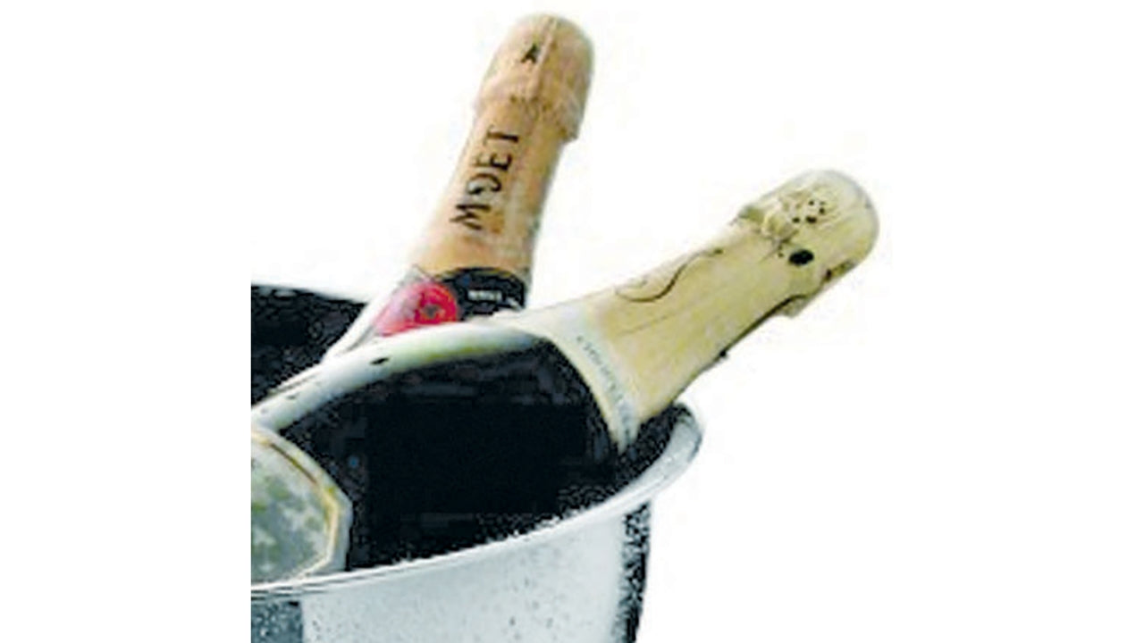 Champagnebowle i stål 40cm bred kant