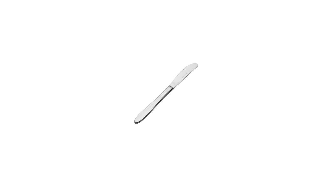 P1 Bordkniv rustfri  12stk